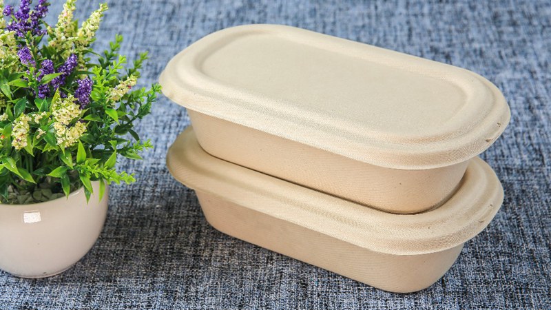 Bagasse Food Container