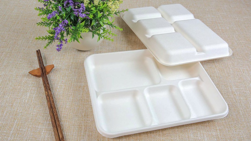 Bagasse Tray