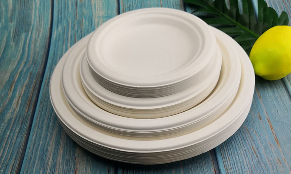 Sugarcane Bagasse Plate